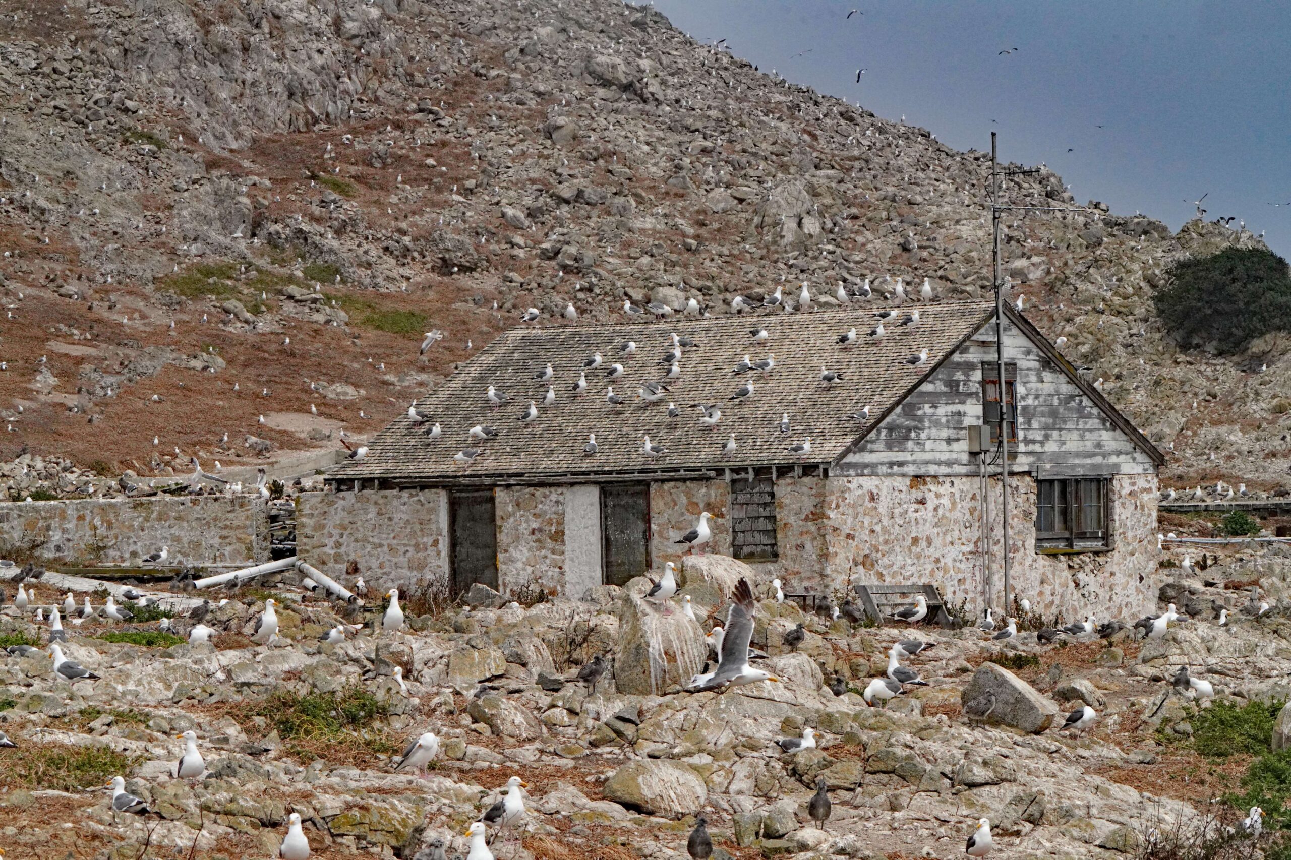 Farallones Old Structures
