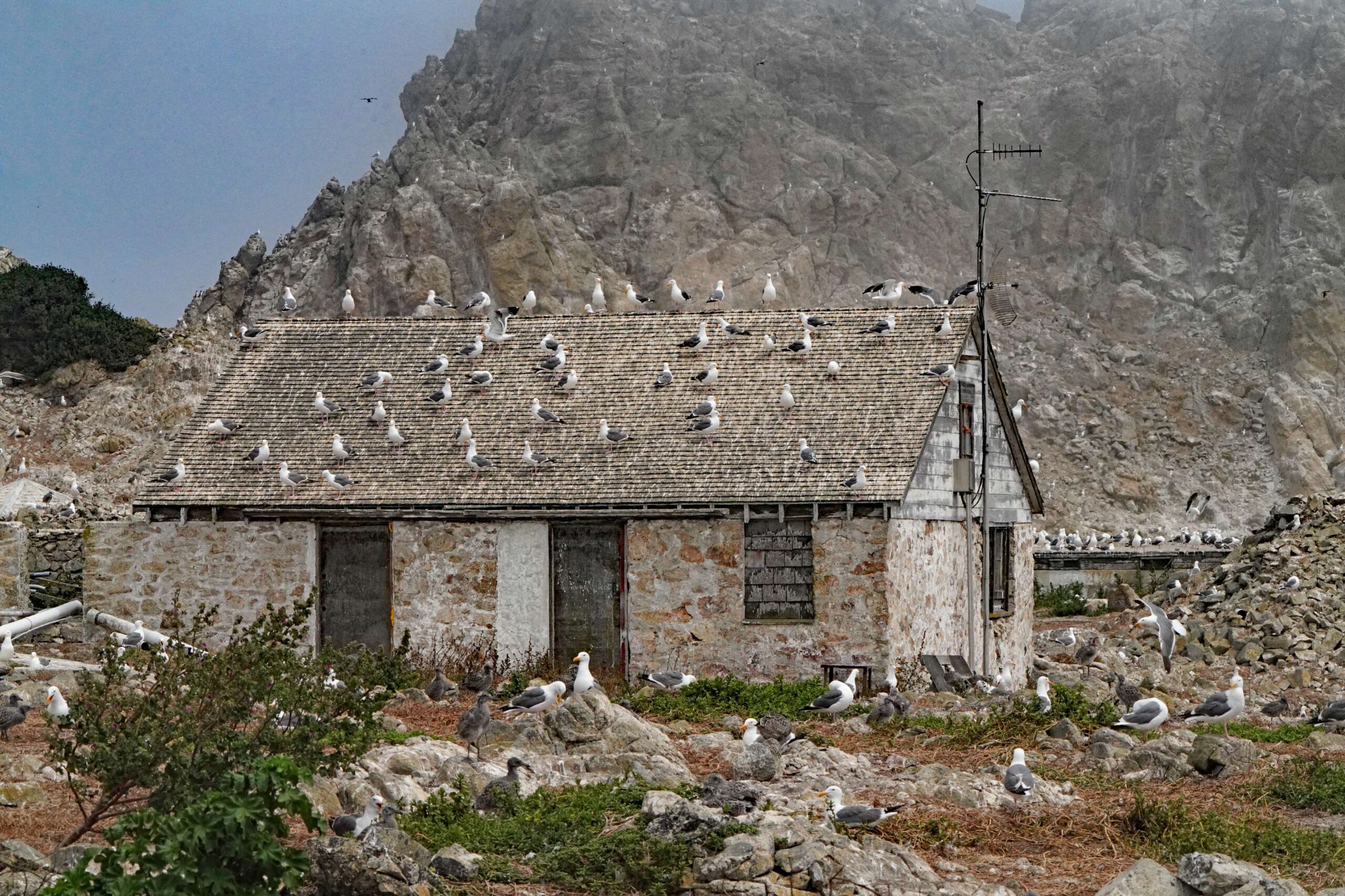 Farallones Old Structures