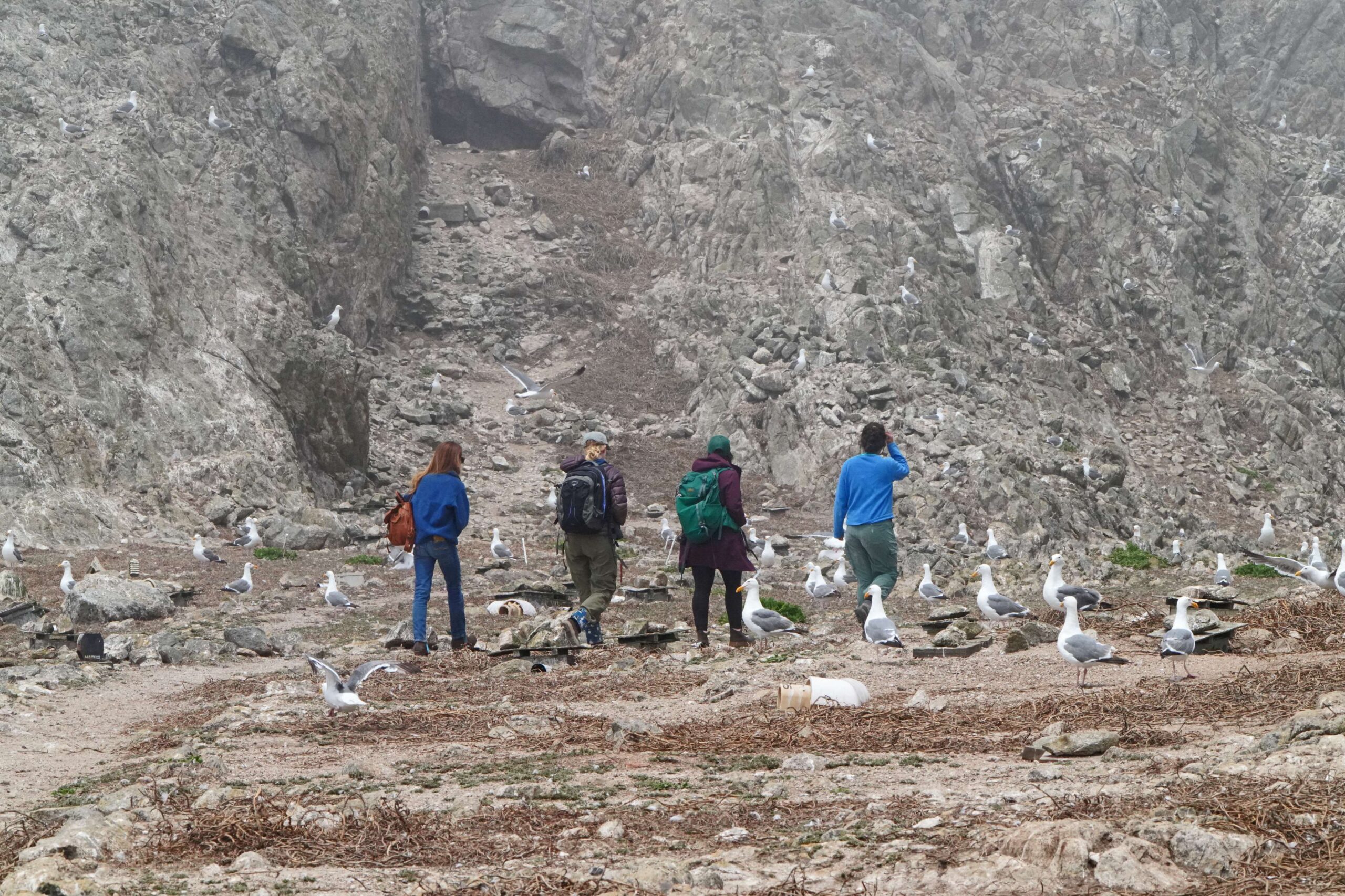 Farallones Point Blue Supporters