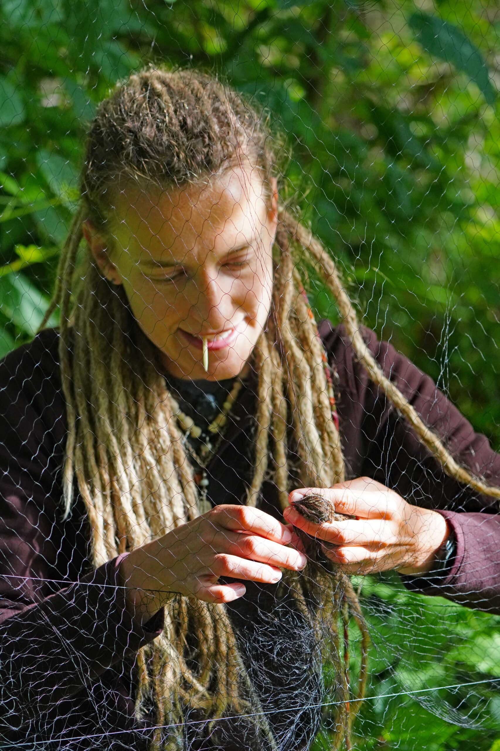 Intern Untangles Bird from Net