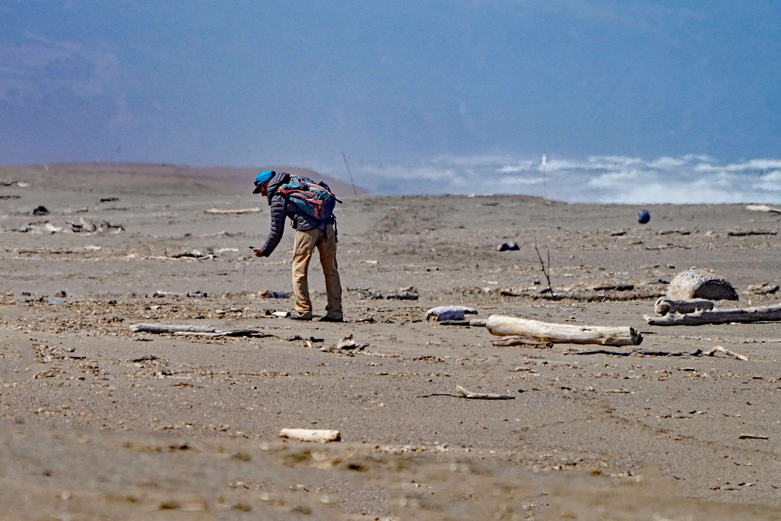 Point Blue Scientist
