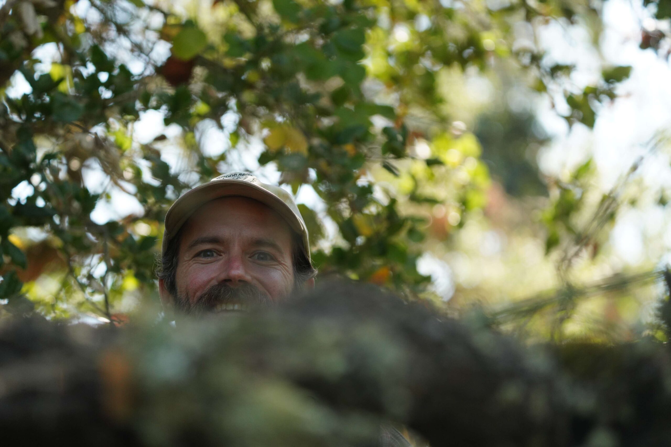 Birding Guide Miles Tuffli