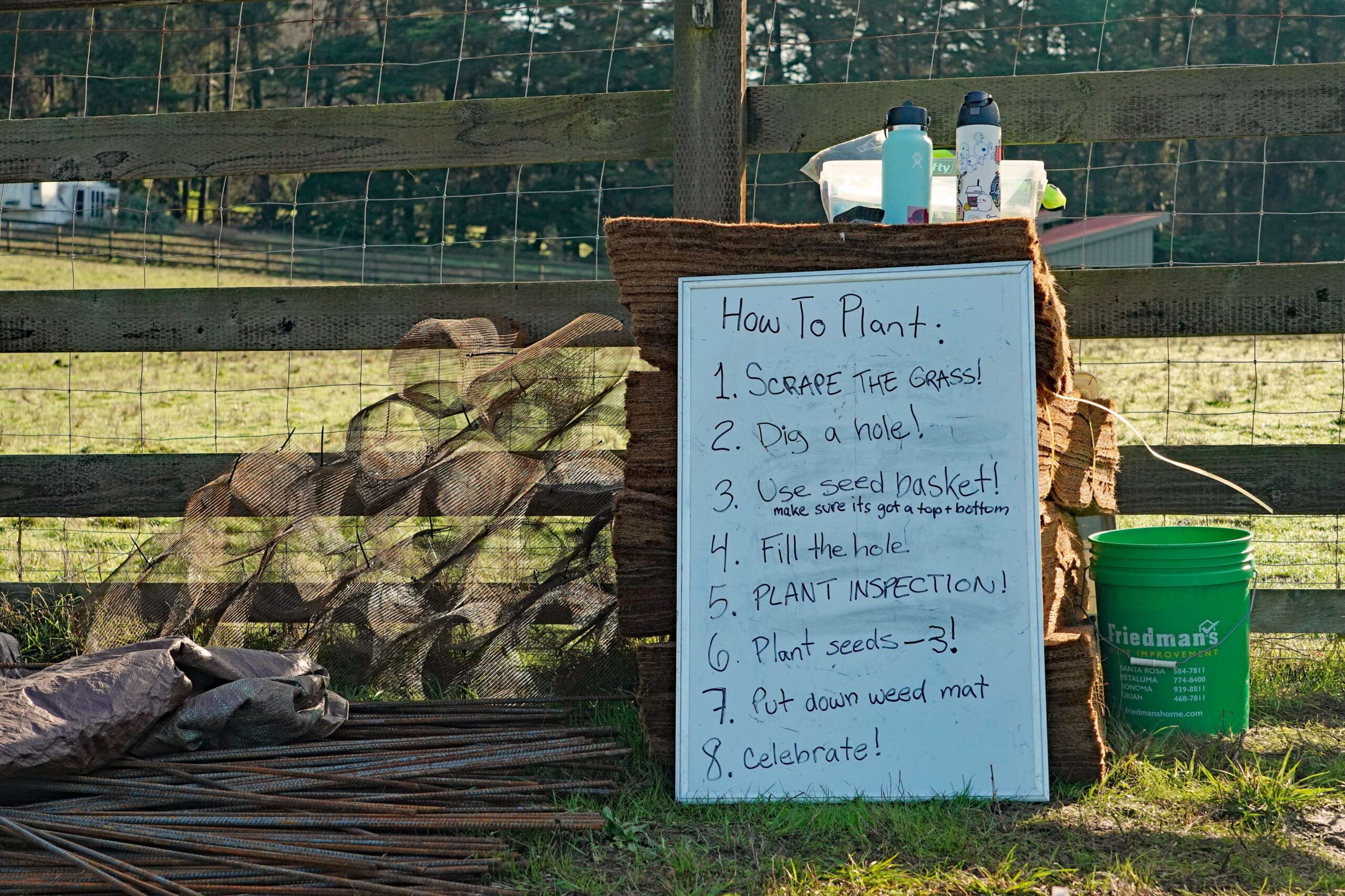 Point Blue Tree Planting Event