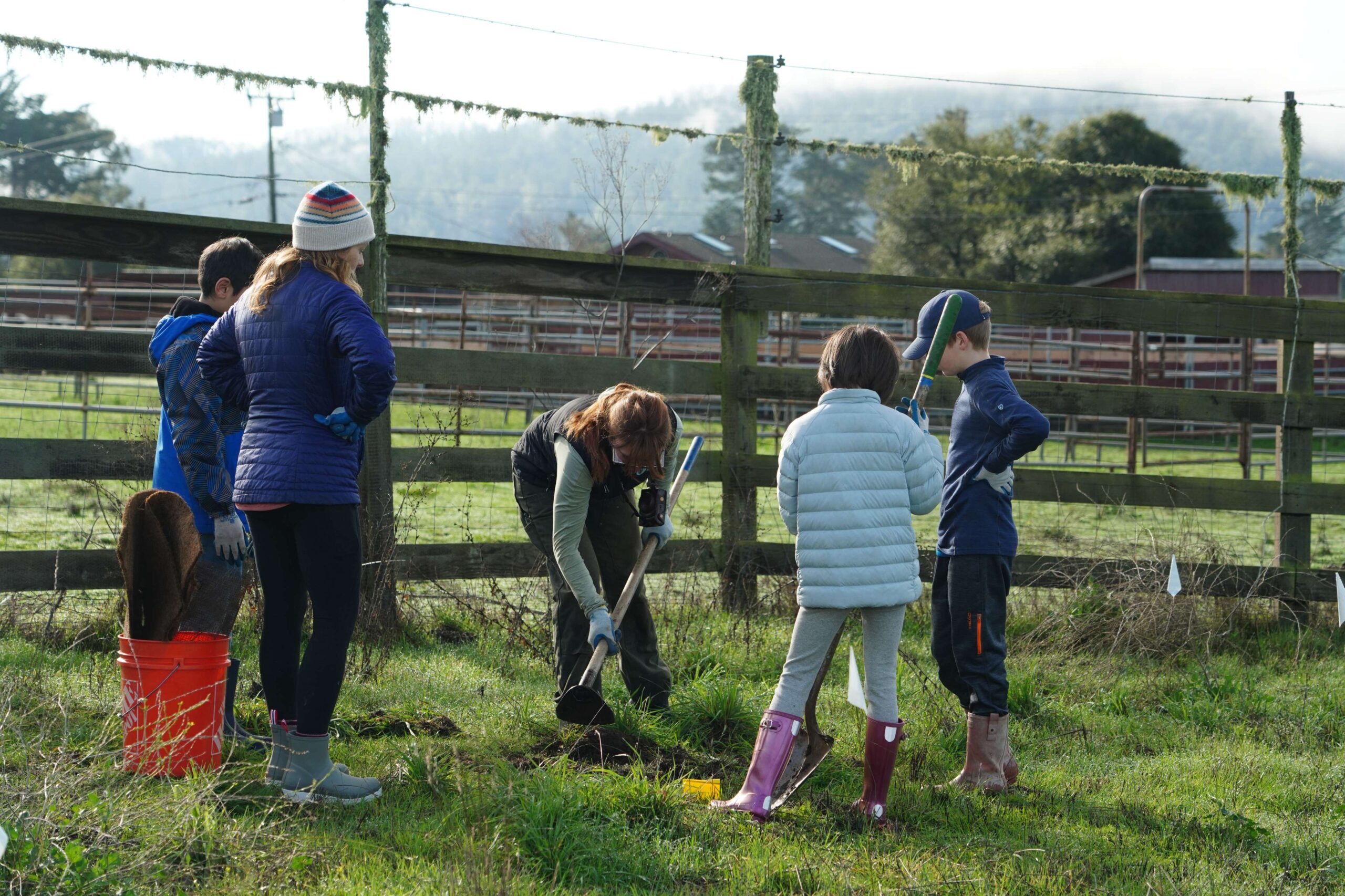 Tree Planting Volunteers