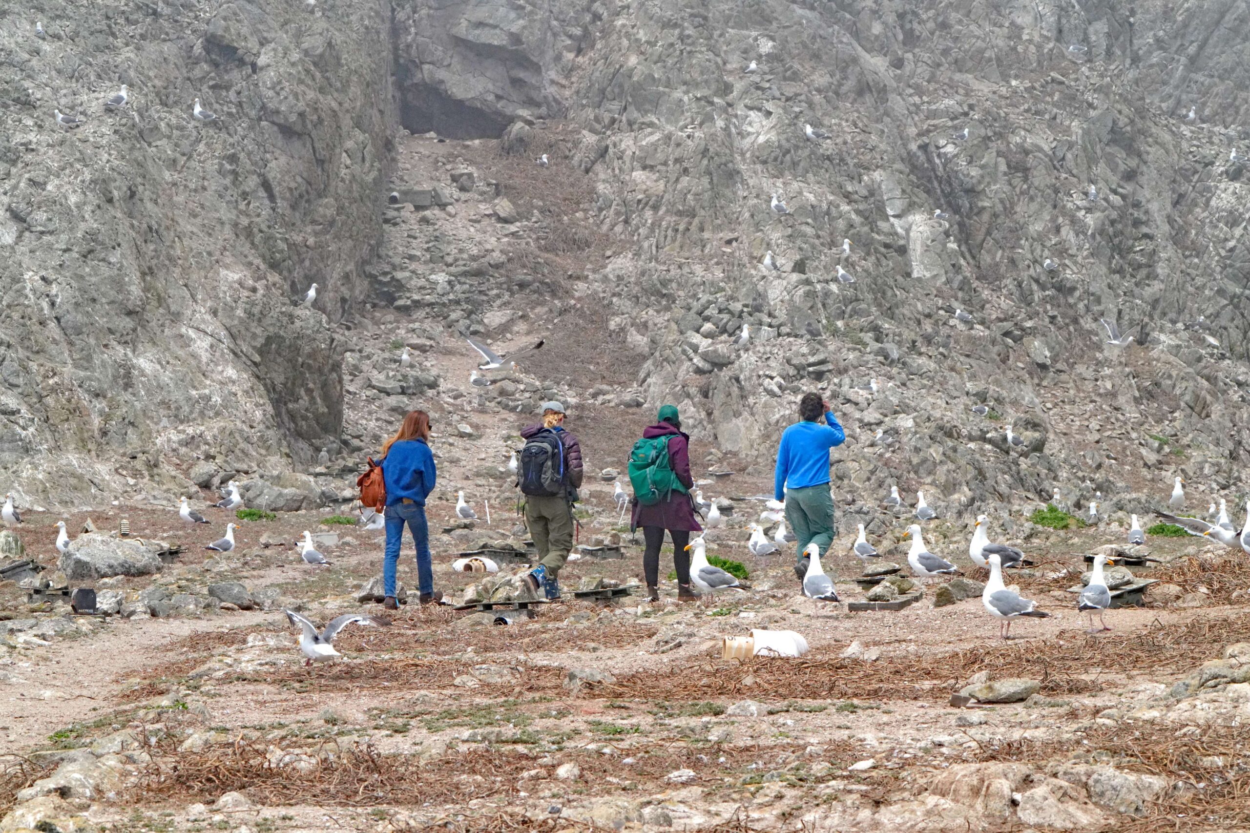 Point Blue Staff and Guests