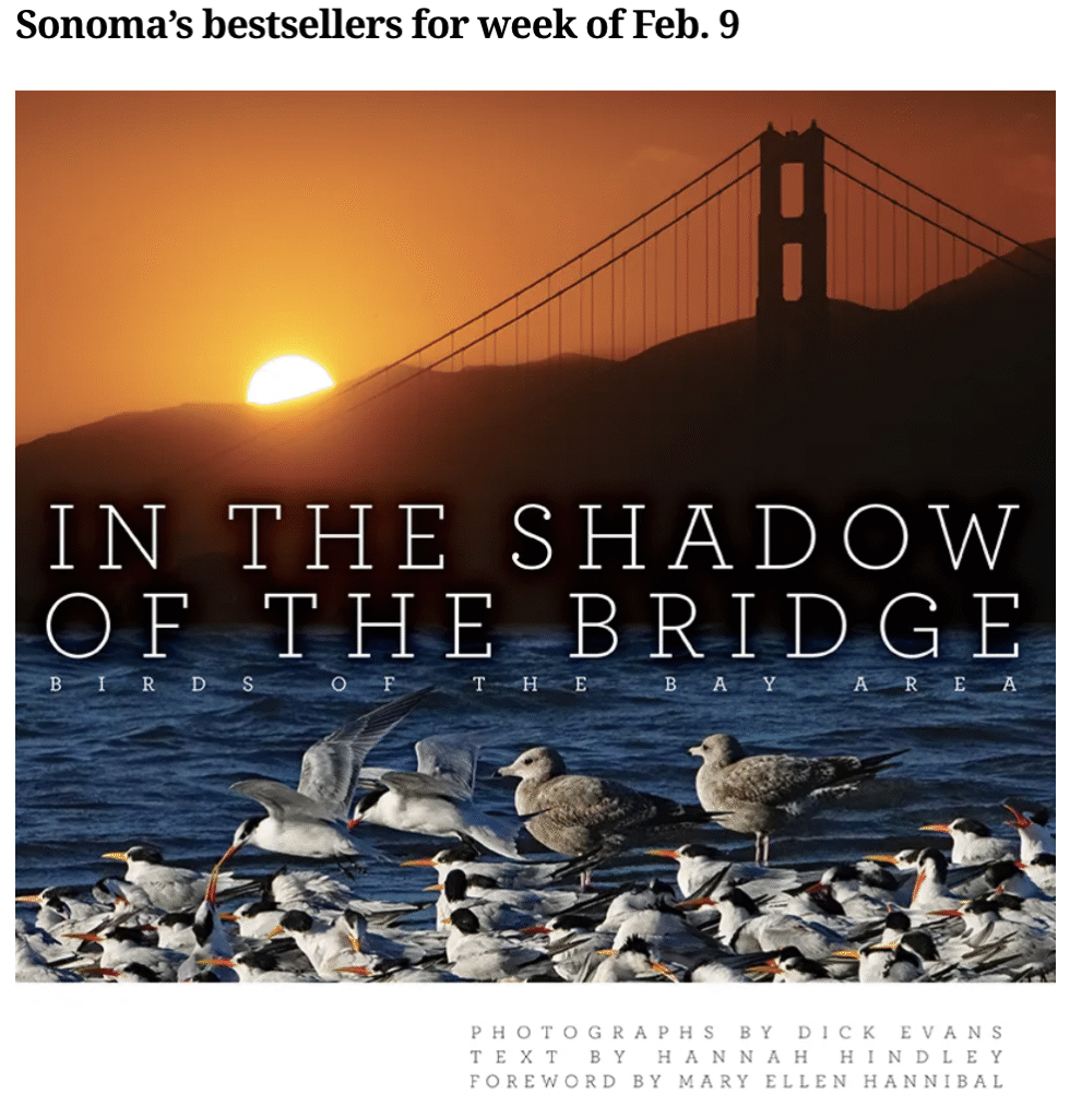 Screenshot 2026-03-27 at 5.42.33 PM