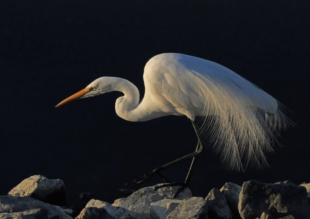 Screenshot 2026-03-27 at 5.44.36 PM