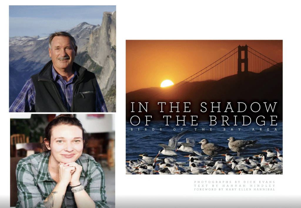 Screenshot 2026-03-27 at 5.49.42 PM